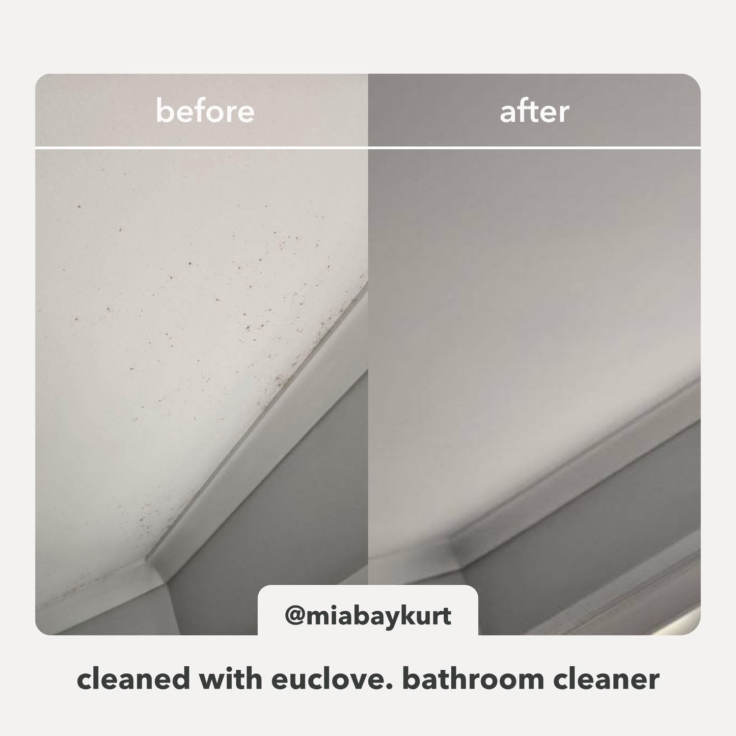 Bathroom & Mould Cleaner with Clove oil - Clean Conscious Award winner 2025