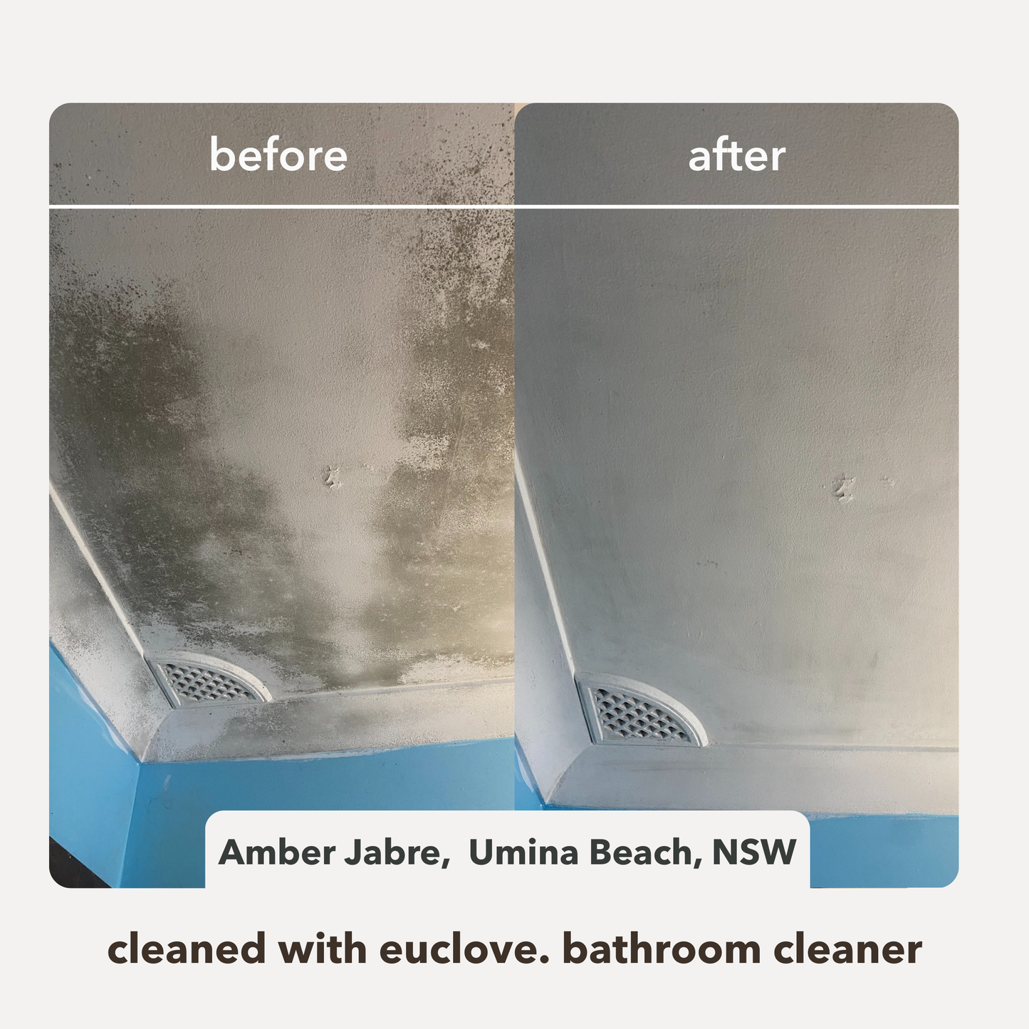 Switch To Non-Toxic Cleaning Products (300 ml)
