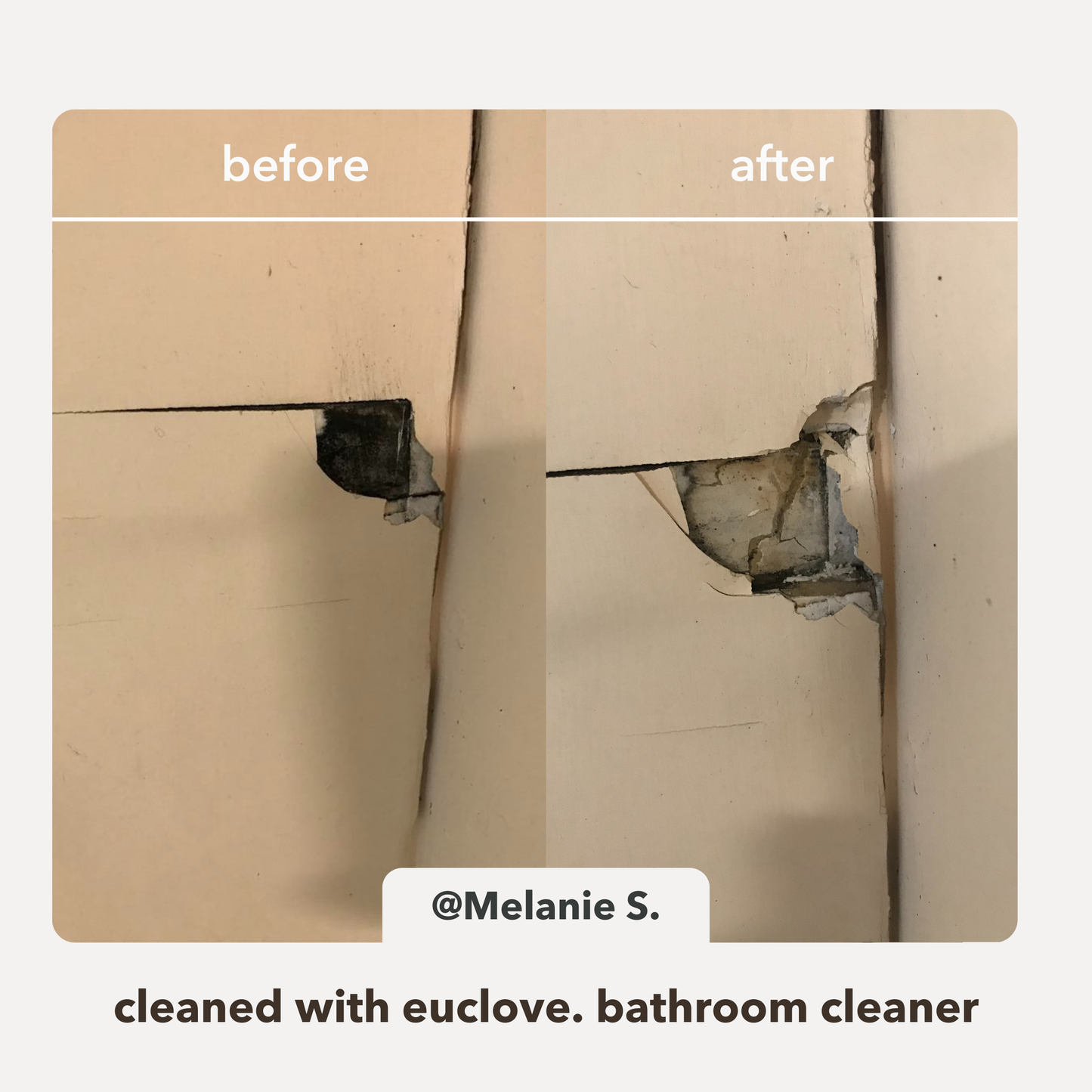 Bathroom & Mould Cleaner with Clove oil - Clean Conscious Award winner 2025