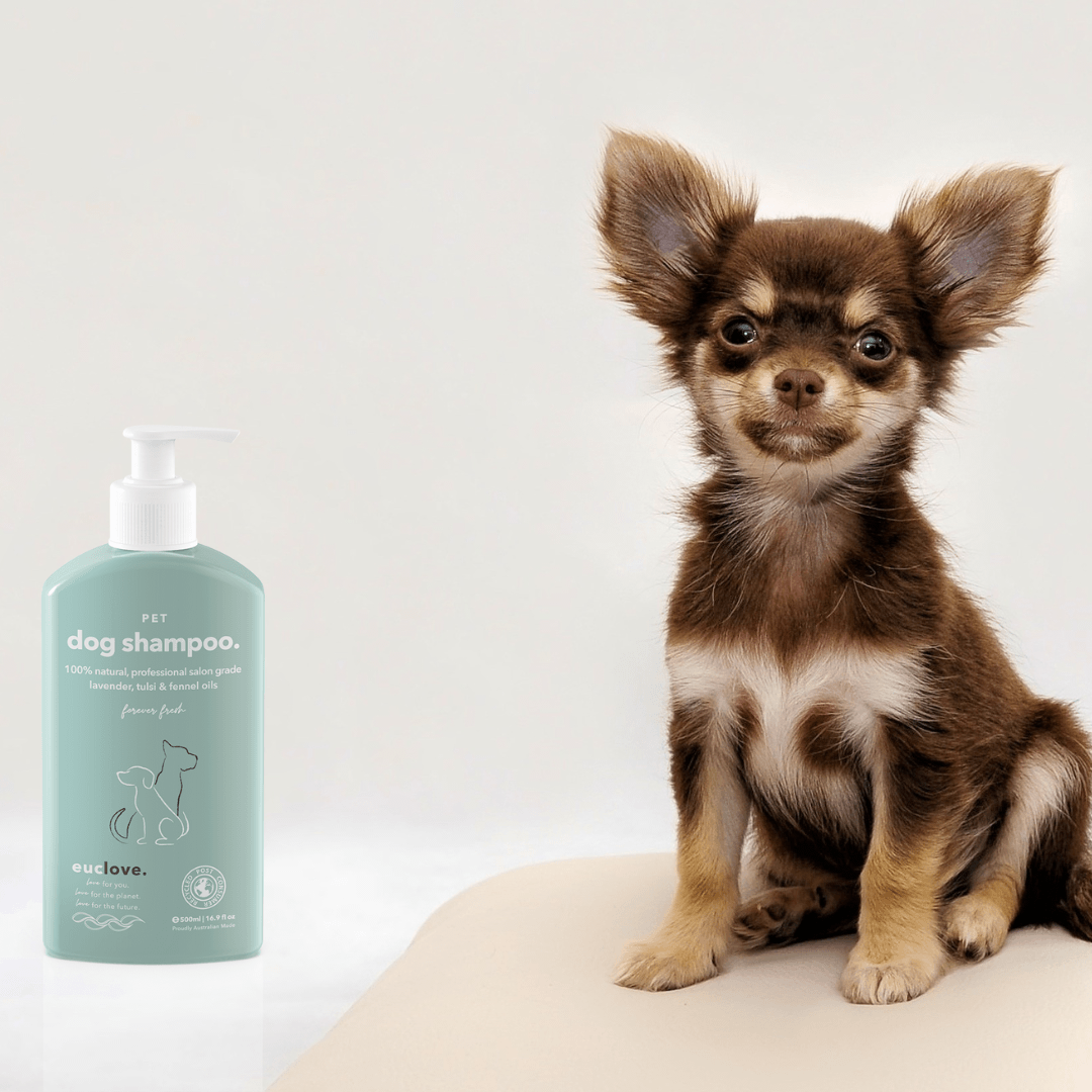 Pet Pamper Pack - Natural Dog Shampoo & Leave in Conditioner