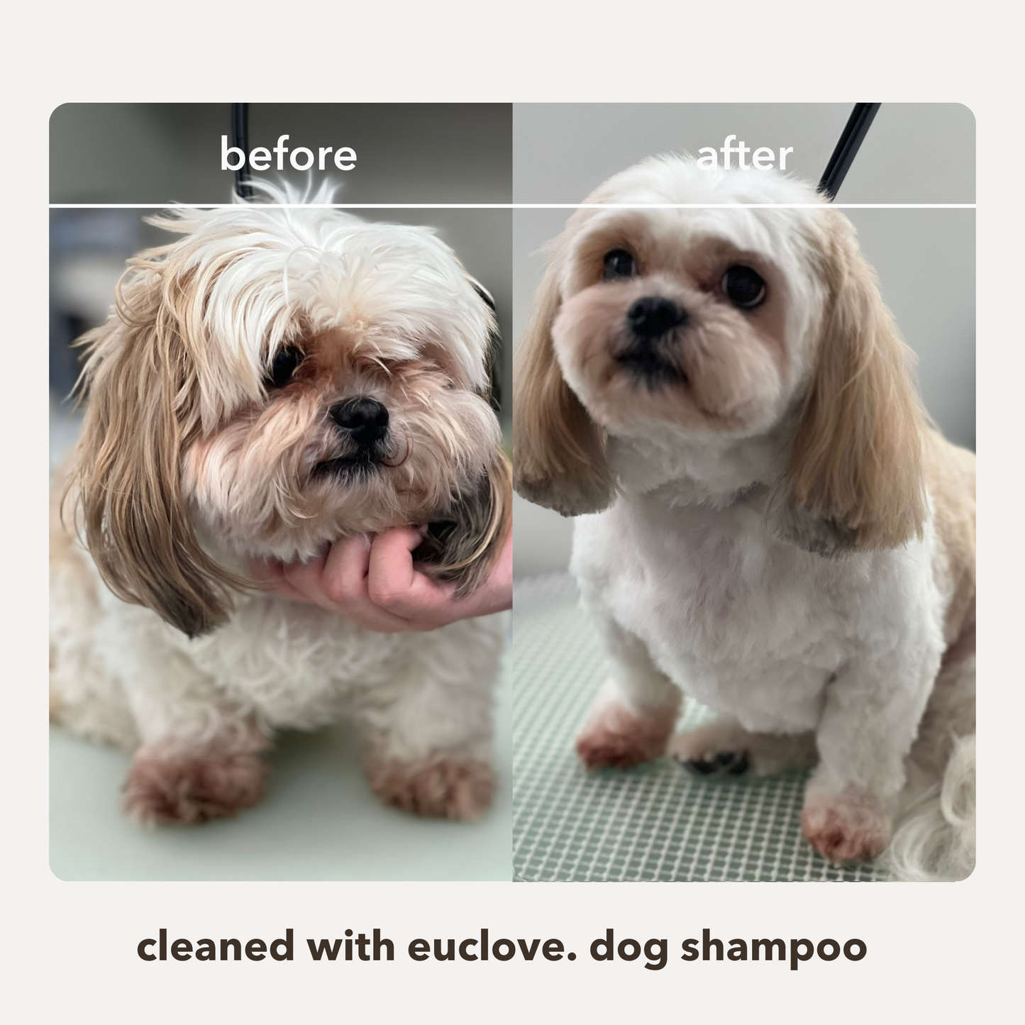 Non-toxic Leave in Conditioner & Detangler 2-in-1 for Dogs