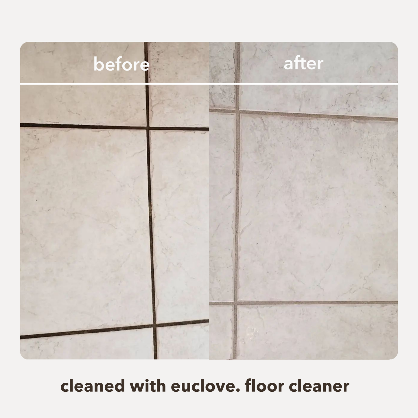 Essential Cleaning Pack