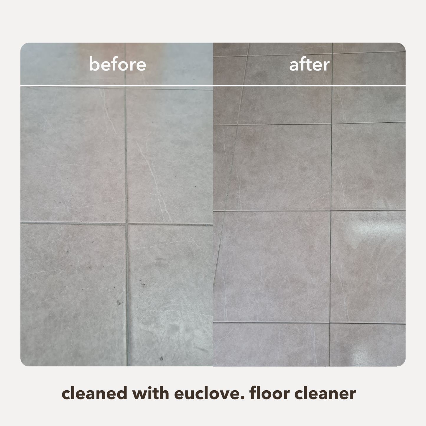 Non-Toxic Natural Floor Cleaner with antibacterial essential oils