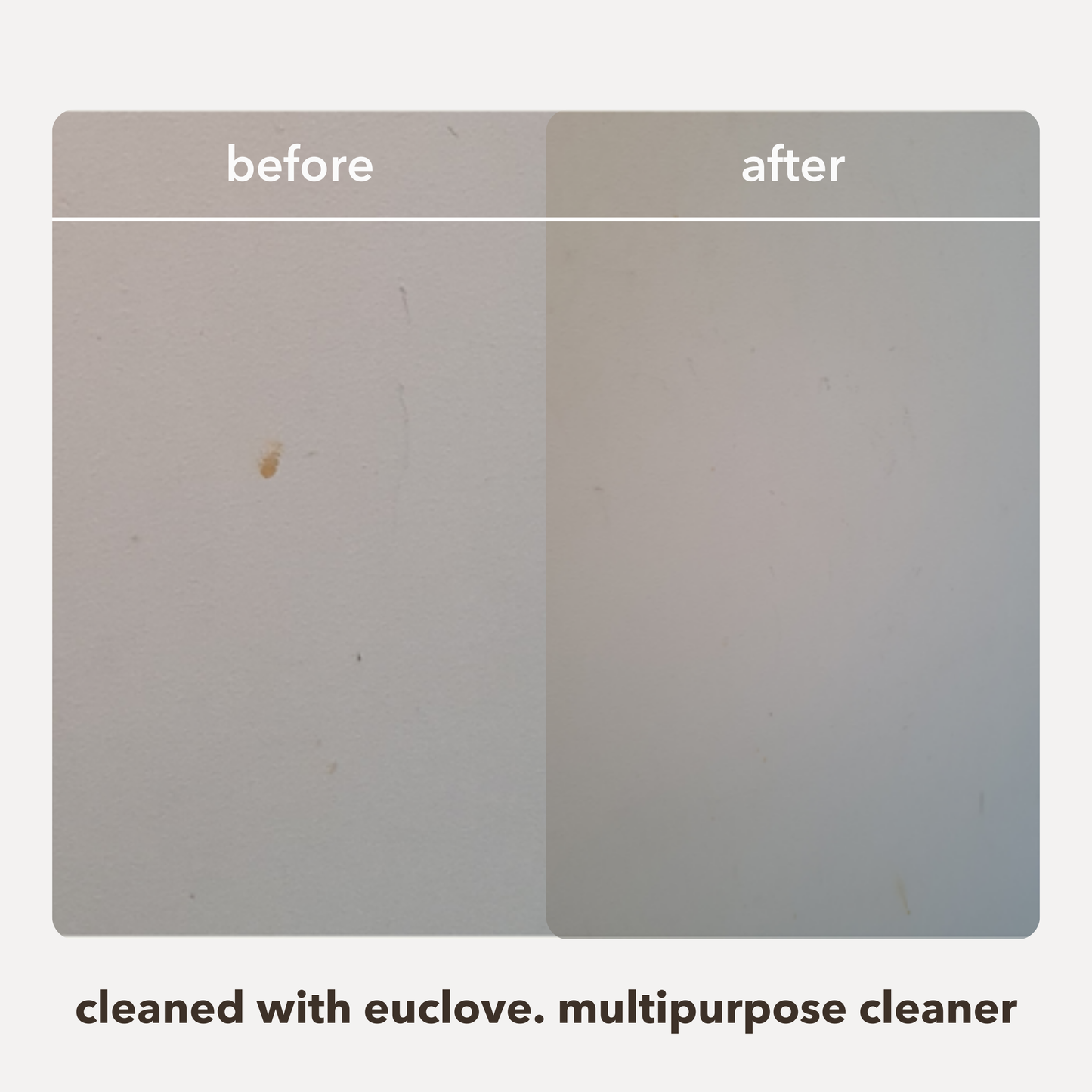 Natural Multi Purpose Cleaner - New Product!