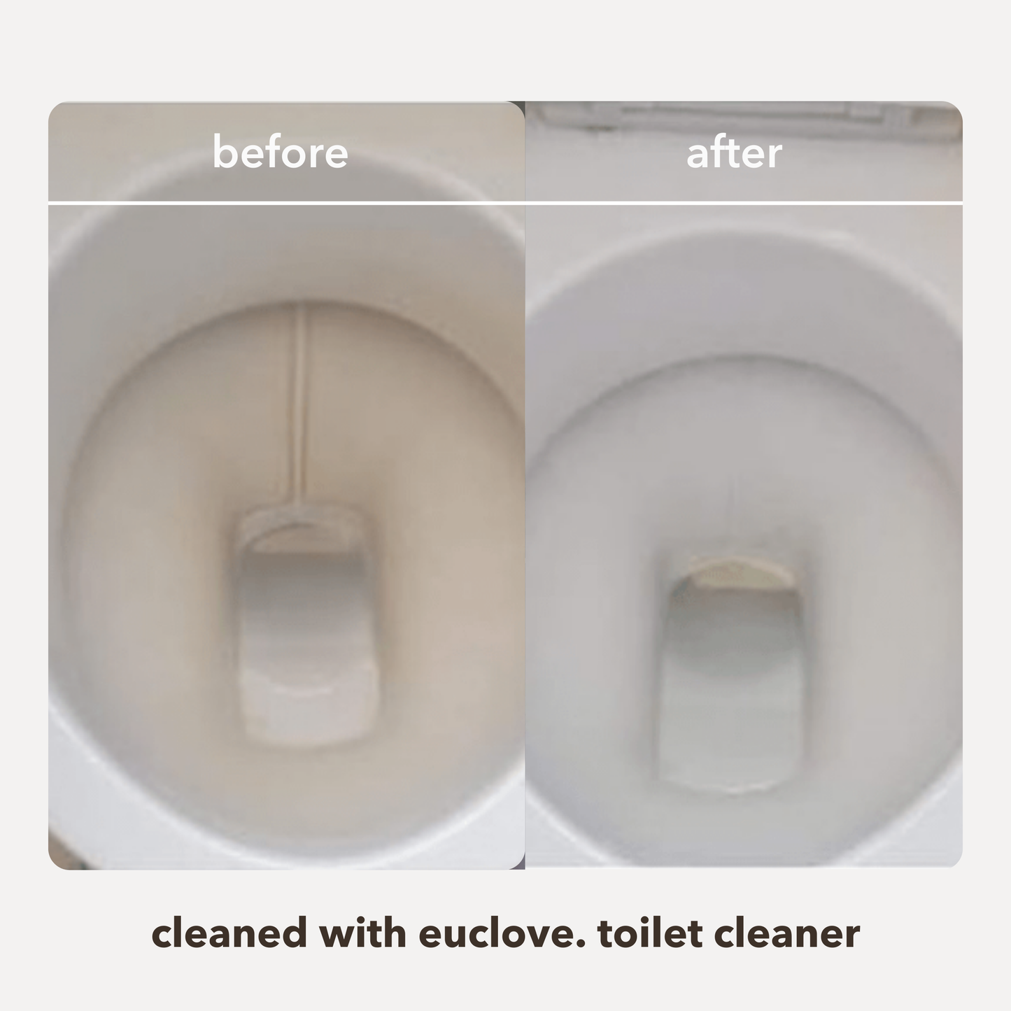 Non-toxic Toilet, Bath & Sink Cleaner