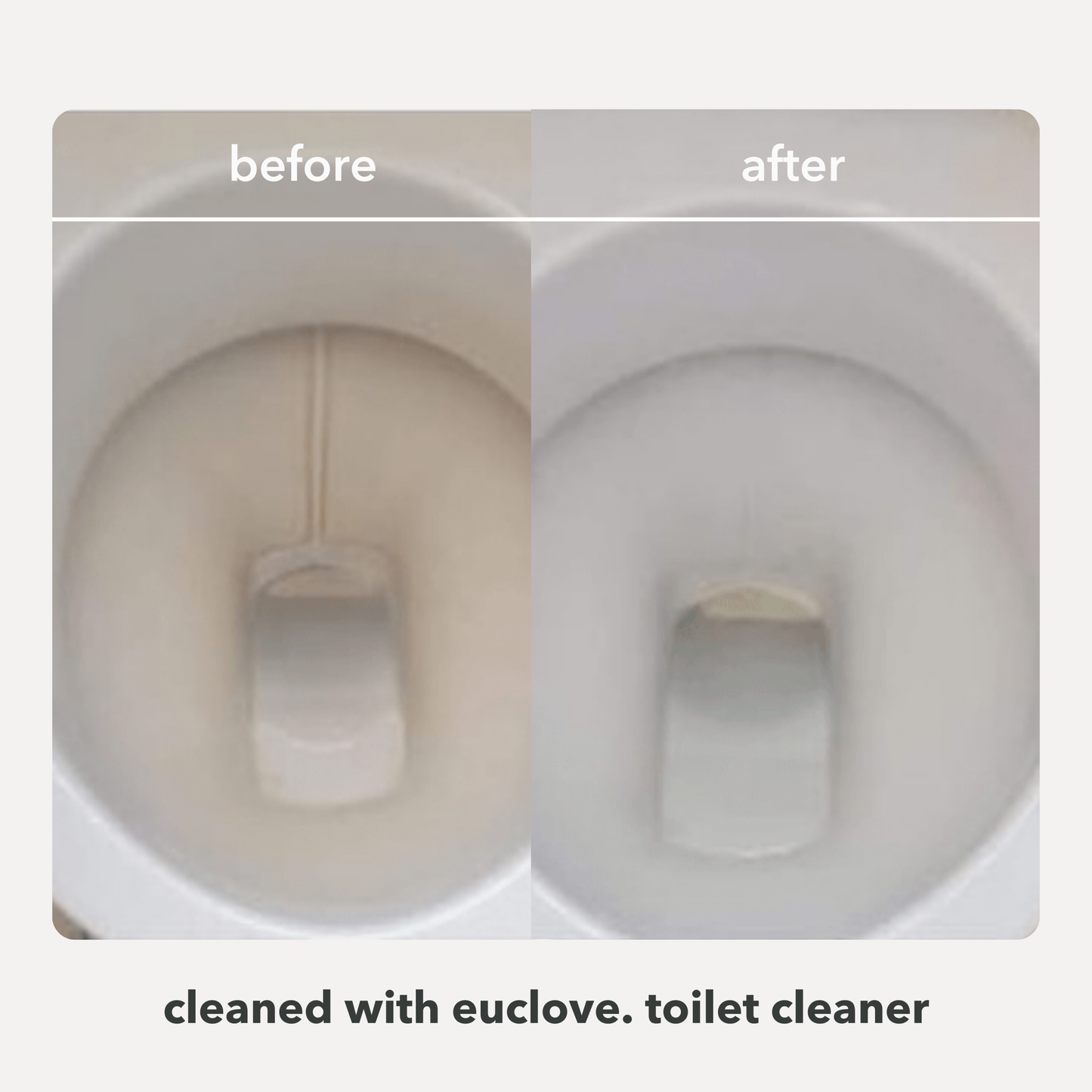 Natural Toilet, Bath & Sink Cleaner 5 Litre Refill & Value Pack