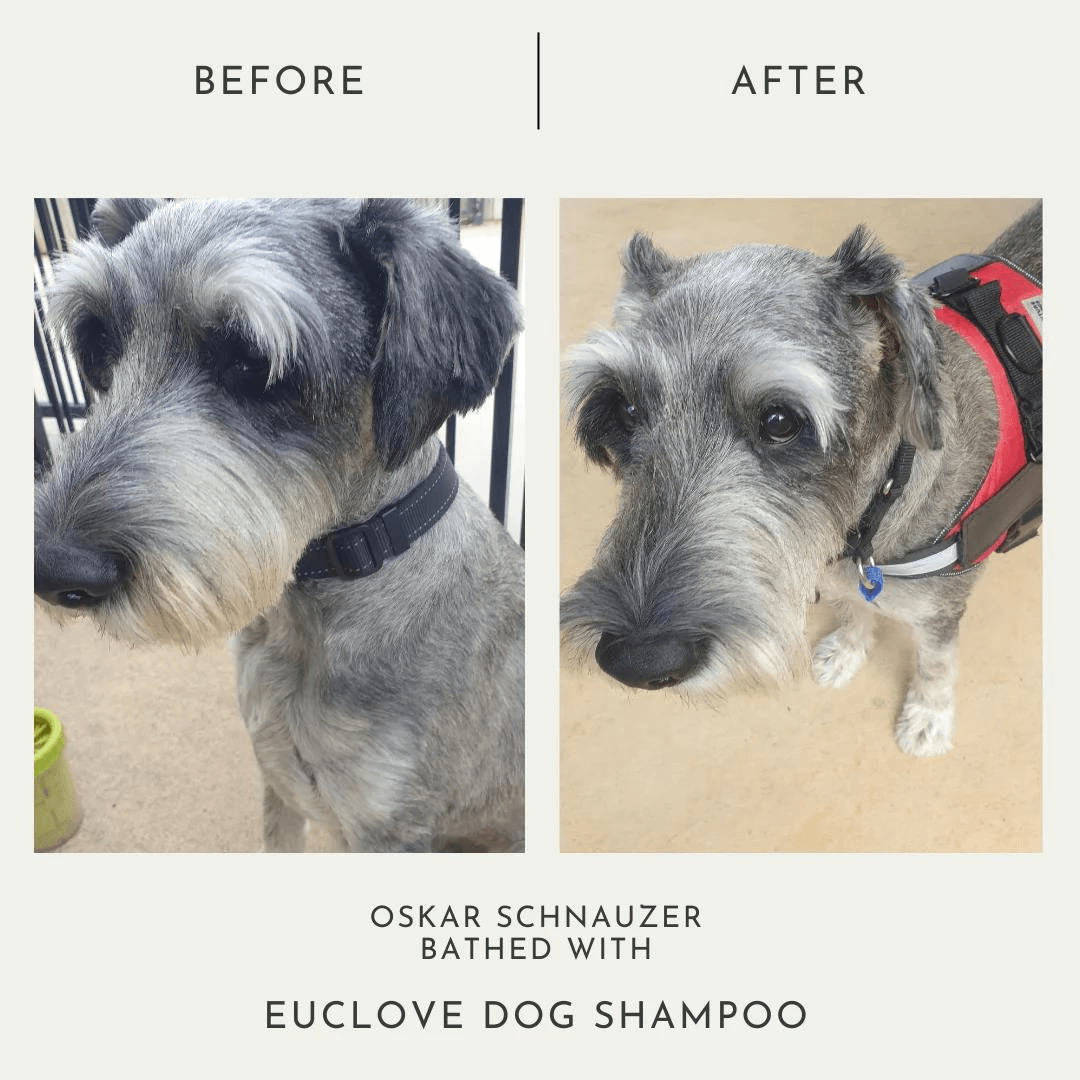 Natural Dog Shampoo Salon grade formulation Euclove
