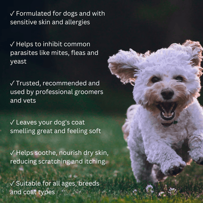 Natural Dog Shampoo - Salon grade formulation