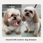 Non-toxic Leave in Conditioner & Detangler 2-in-1 for Dogs