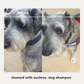 Non-toxic Leave in Conditioner & Detangler 2-in-1 for Dogs