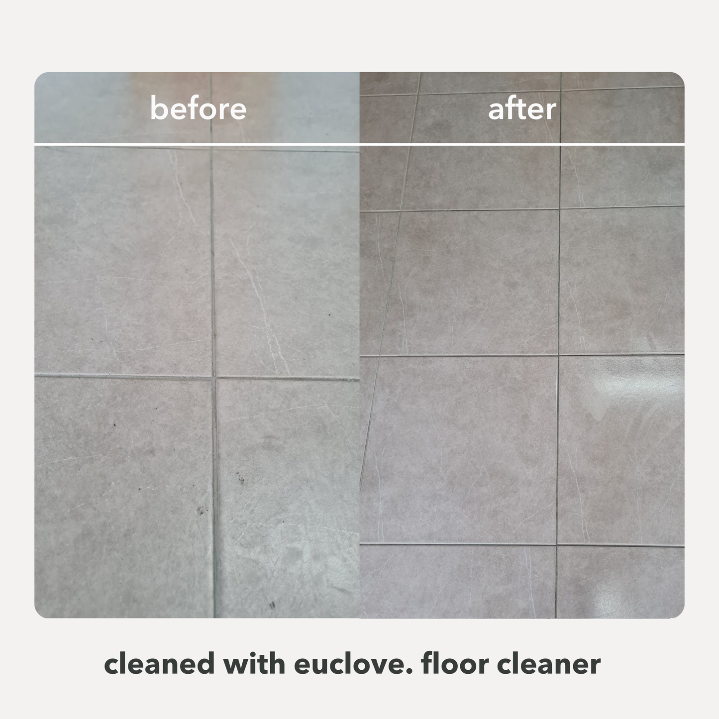 Non-Toxic Natural Floor Cleaner with antibacterial essential oils
