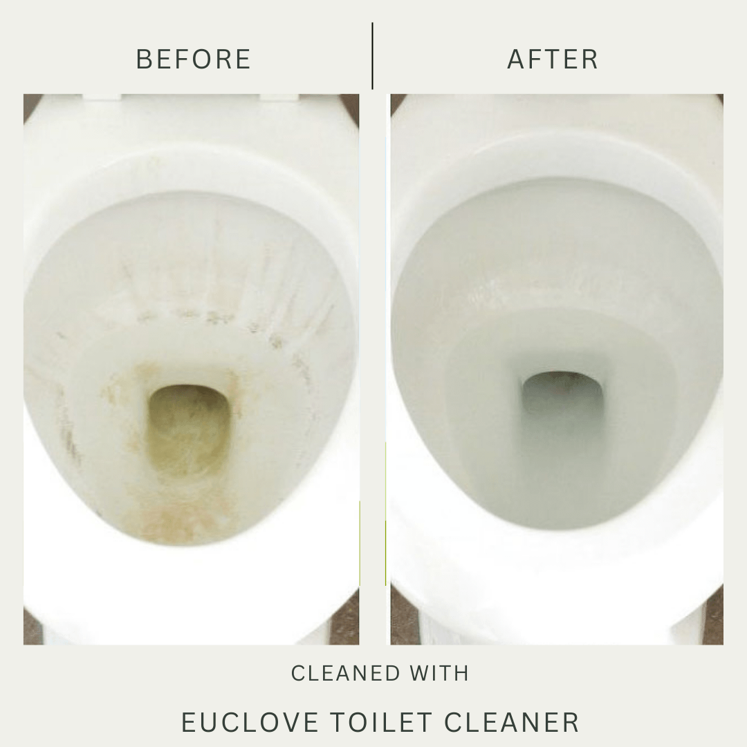 Non-toxic Toilet, Bath & Sink Cleaner