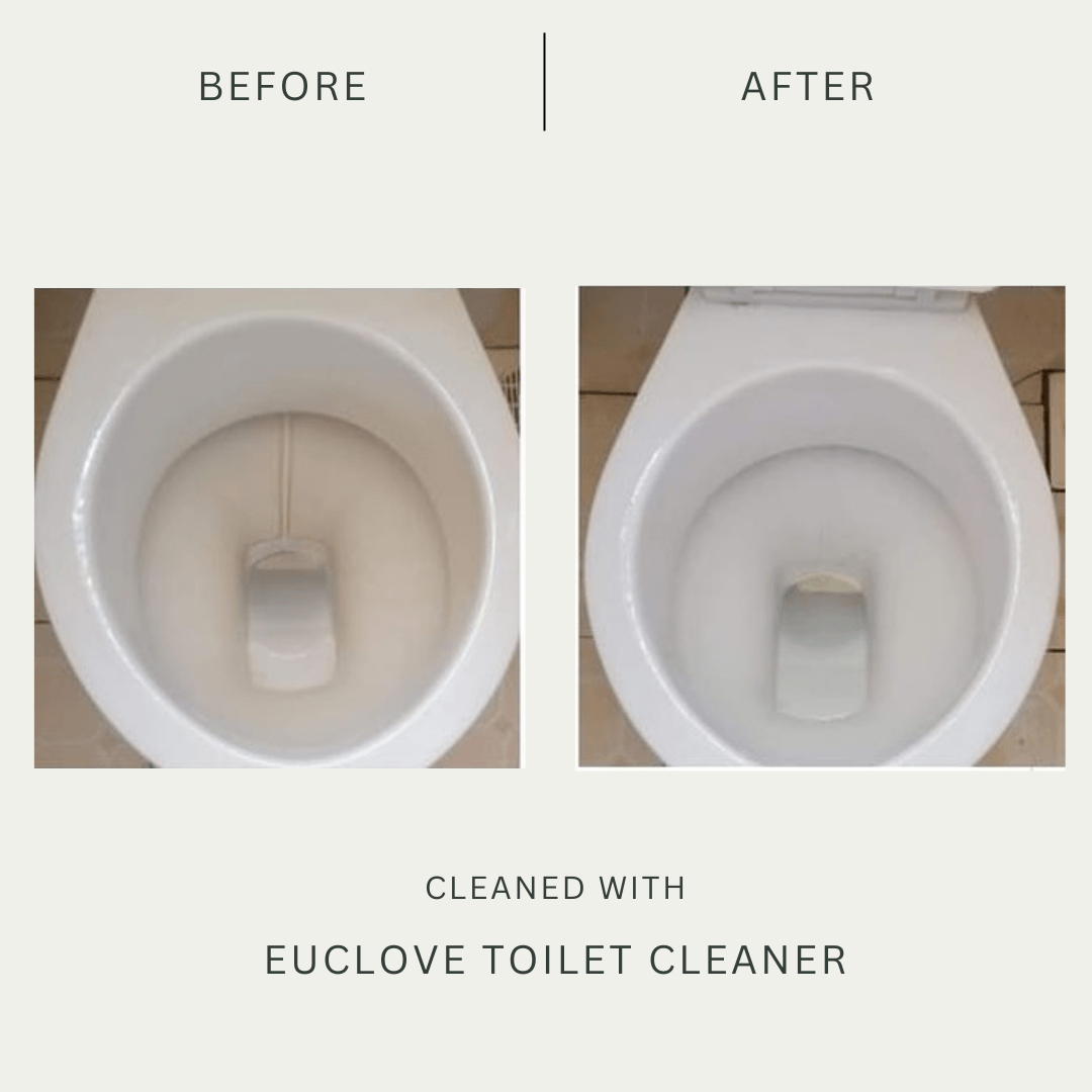 Non-toxic Toilet, Bath & Sink Cleaner