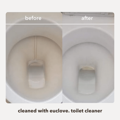 Natural Toilet Cleaner & odour remover
