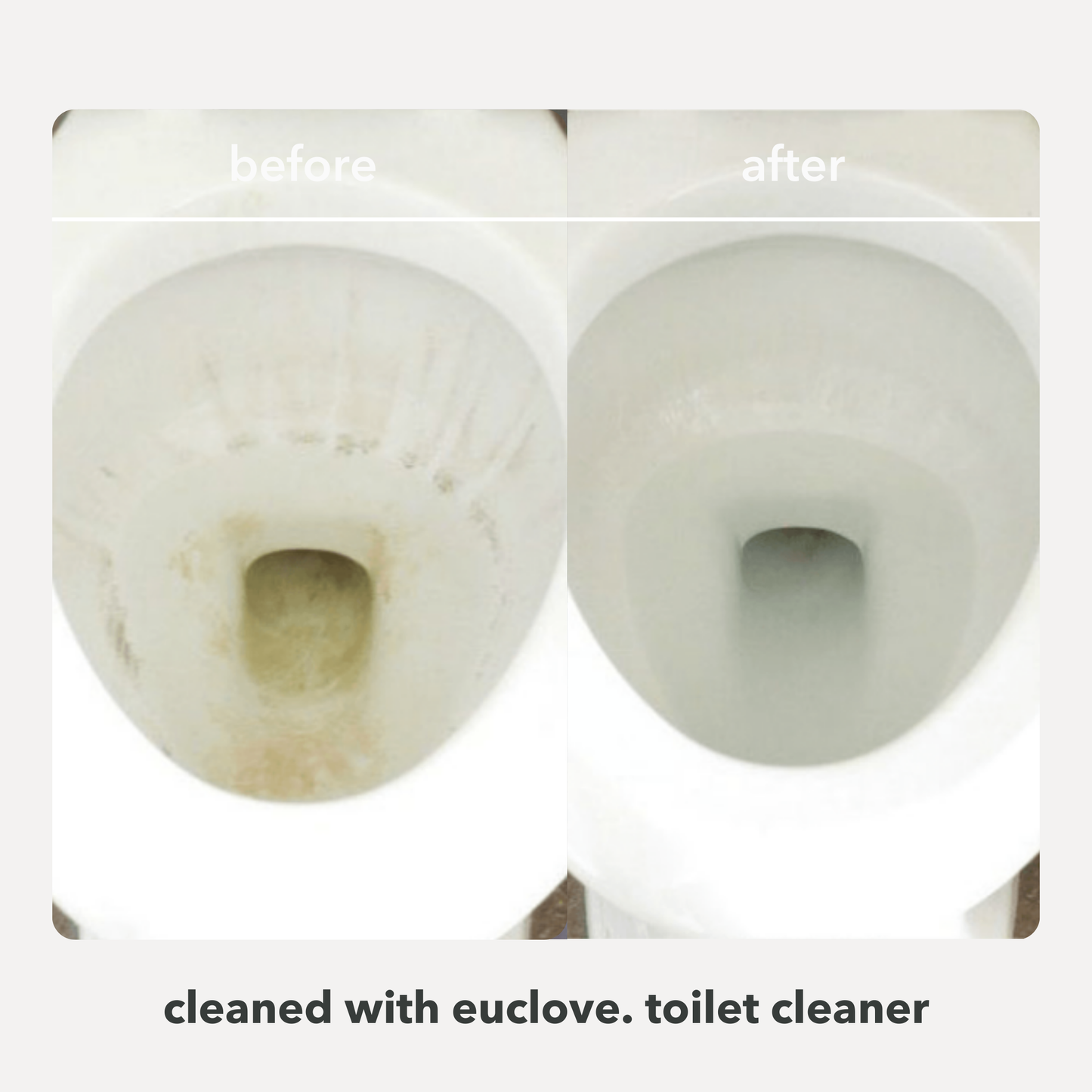 Natural Toilet, Bath & Sink Cleaner 5 Litre Refill & Value Pack