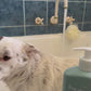 Natural Dog Shampoo - Salon grade formulation